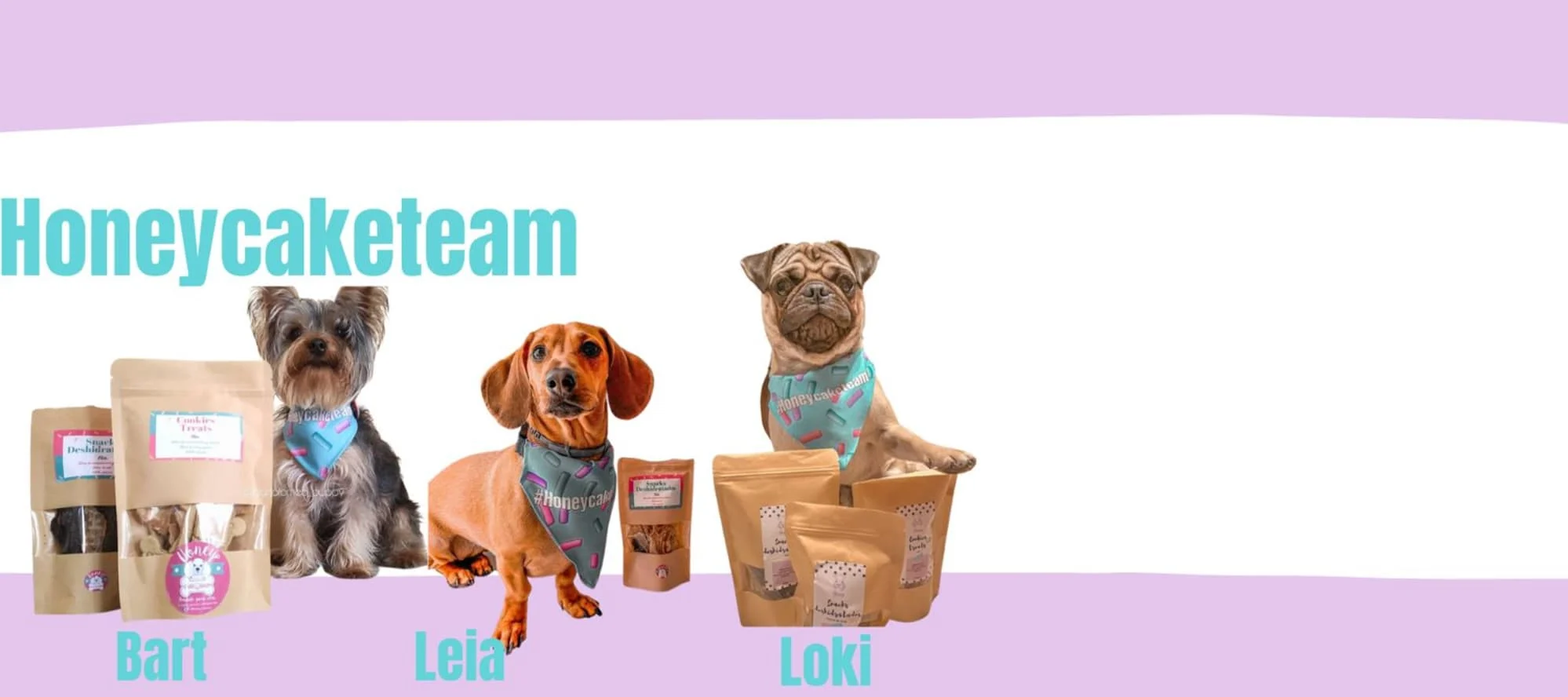 banner template7