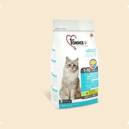 banner template15